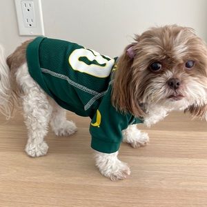 {Hunter} Oregon Ducks Dog Jersey